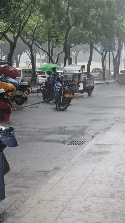 台风白海豚生成,福建暴雨红色预警!出行注意安全(图2) 台风白海豚生成,福建暴雨红色预警!出行注意安全(图2)