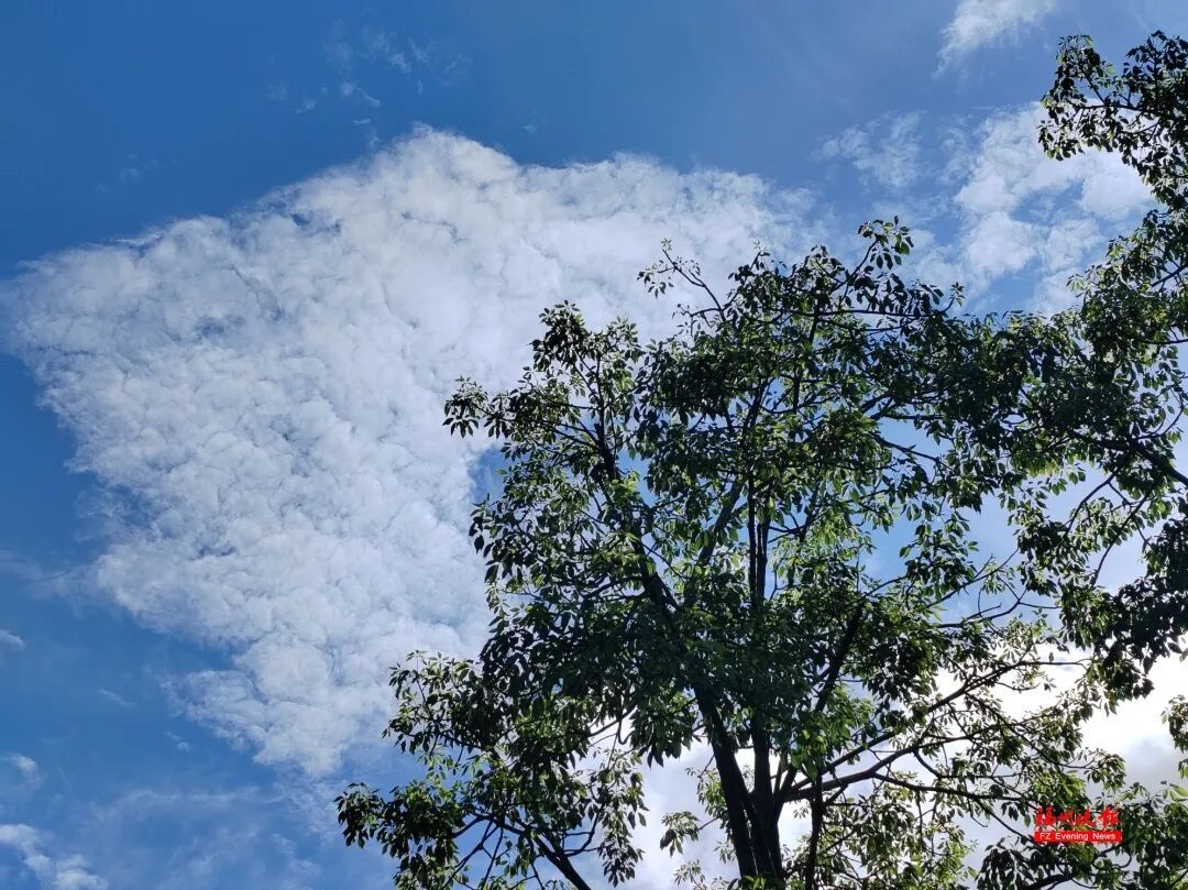 台风白海豚生成,福建暴雨红色预警!出行注意安全(图7) 台风白海豚生成,福建暴雨红色预警!出行注意安全(图7)
