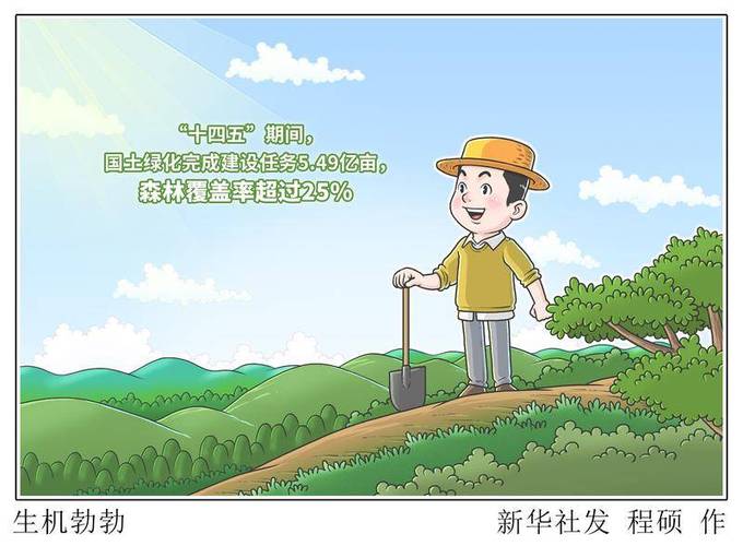 福建十五五林业规划：森林覆盖率全国第一，产值破万亿