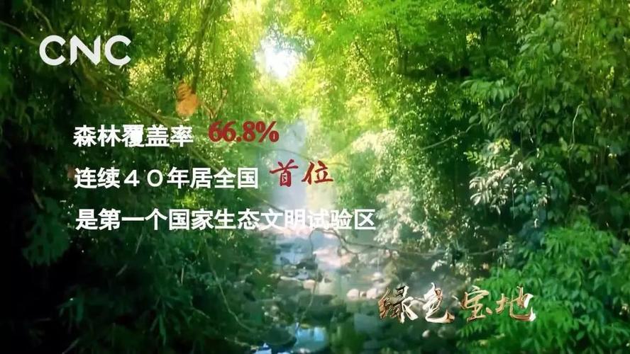 福州发布福建林业“十五五”蓝图:森林覆盖率稳居全国第一,2030年产业产值冲刺万亿(图2) 福州发布福建林业“十五五”蓝图:森林覆盖率稳居全国第一,2030年产业产值冲刺万亿(图2)