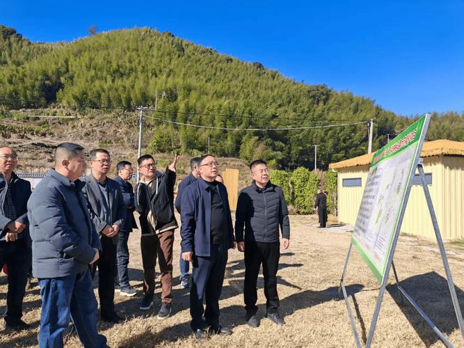 森林四库联动是什么？福建试点如何让青山变金山