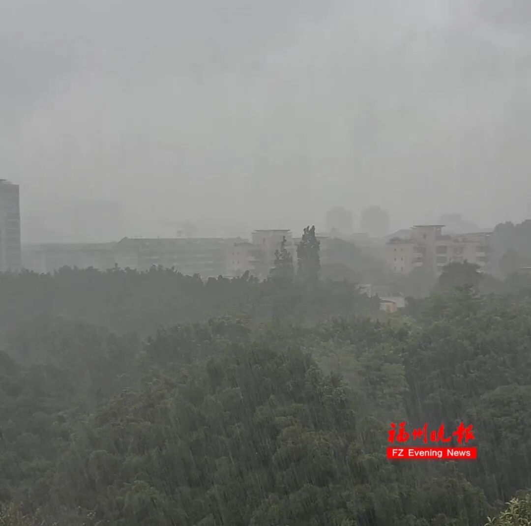 白海豚台风或将登陆福建 - 金色港湾资讯网(图8) 白海豚台风或将登陆福建 - 金色港湾资讯网(图8)