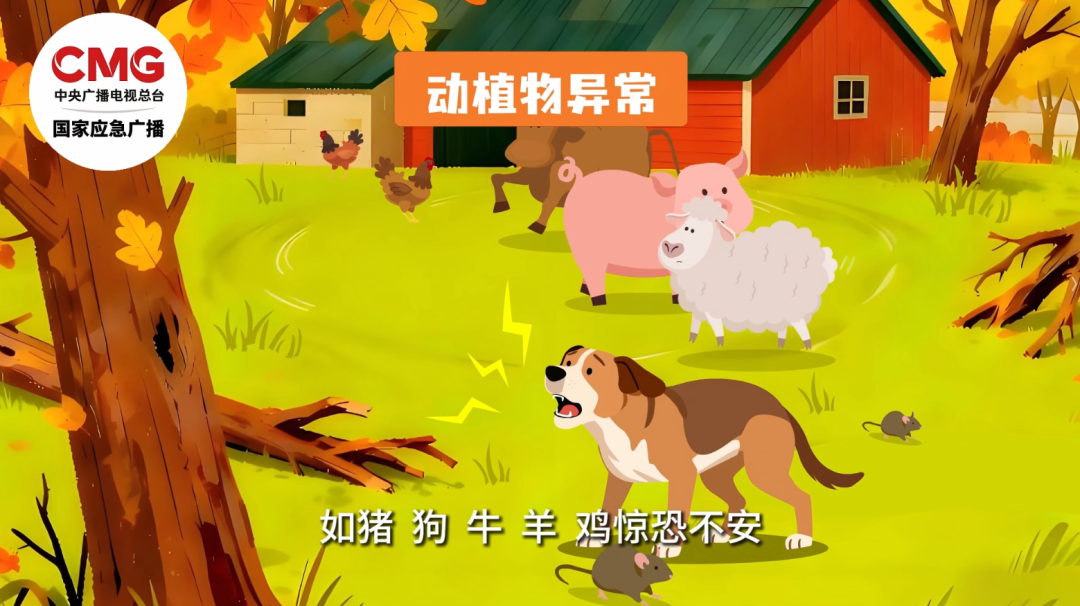 汛期山区景区山洪频发,游客被困如何自救?(图4) 汛期山区景区山洪频发,游客被困如何自救?(图4)