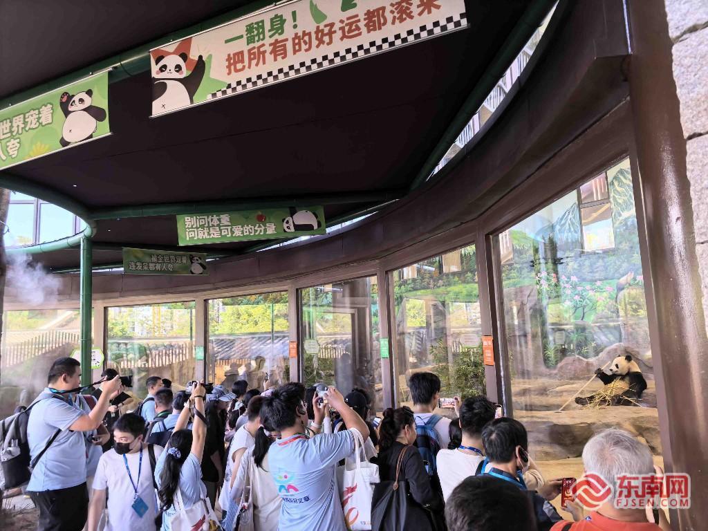 两岸青年72小时AI视频赛 福州极限创作碰撞创意火花