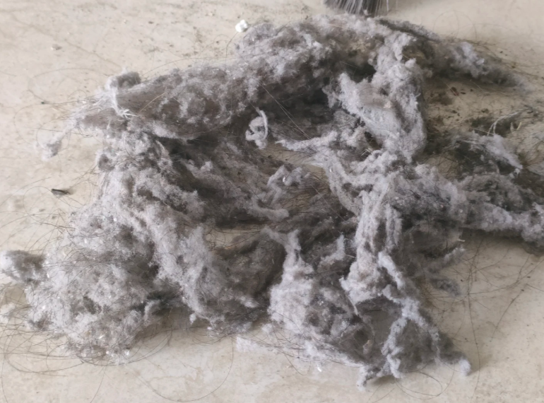 家里没开窗为啥还落灰?室内灰尘到底从哪来?(图3) 家里没开窗为啥还落灰?室内灰尘到底从哪来?(图3)