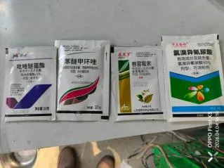 重庆盛夏阳台植物易挂?这些招教你让宝贝安然度夏(图4) 福州阳台夏日绿植养护指南:四招助你守住盛夏生机(图4)