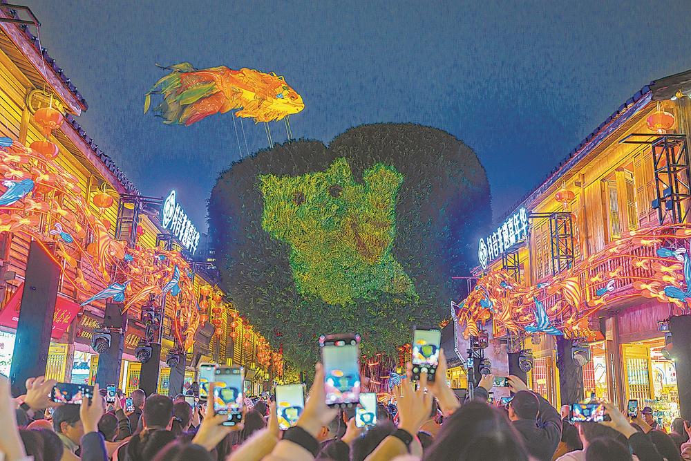 福建城市更新:古树成网红打卡点,市民幸福感UP(图1) 福建城市更新:古树成网红打卡点,市民幸福感UP(图1)