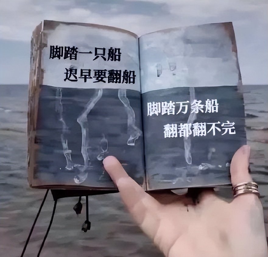 福建学者关注:高智商物种演化反而更慢?福州生态研究揭示“行为缓冲”悖论(图7) 福建学者关注:高智商物种演化反而更慢?福州生态研究揭示“行为缓冲”悖论(图7)