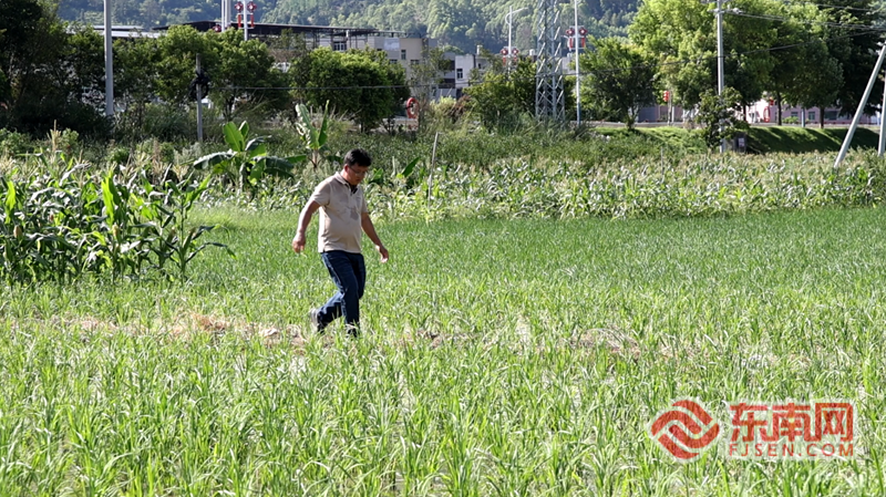 福州一村黑板挂37年 承诺为民办十件实事(图7) 福州一村黑板挂37年 承诺为民办十件实事(图7)