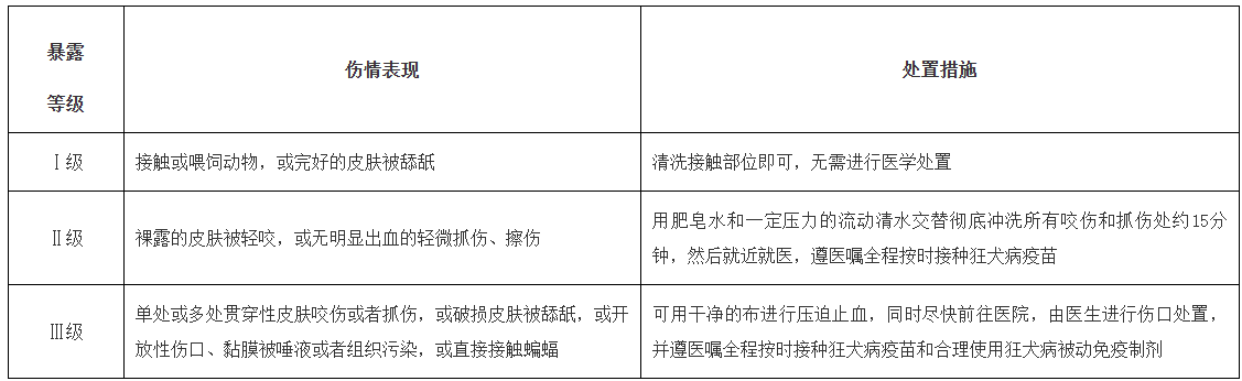 被猫狗咬伤抓伤怎么办？先看暴露等级再处理(图1)
