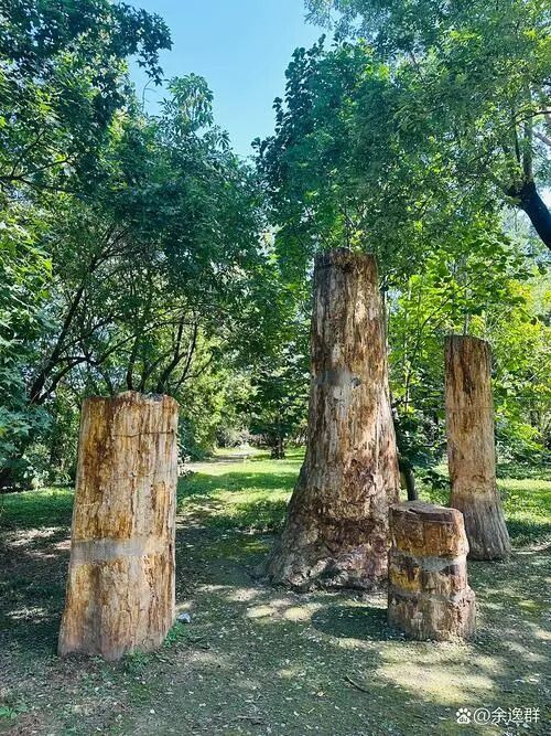 四季形成原因揭秘：地球自转公转与地轴倾斜(图5)
