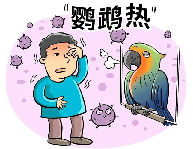 女子咳一个月肺变实心,真凶竟是家养鹦鹉(图2) 女子咳一个月肺变实心,真凶竟是家养鹦鹉(图2)