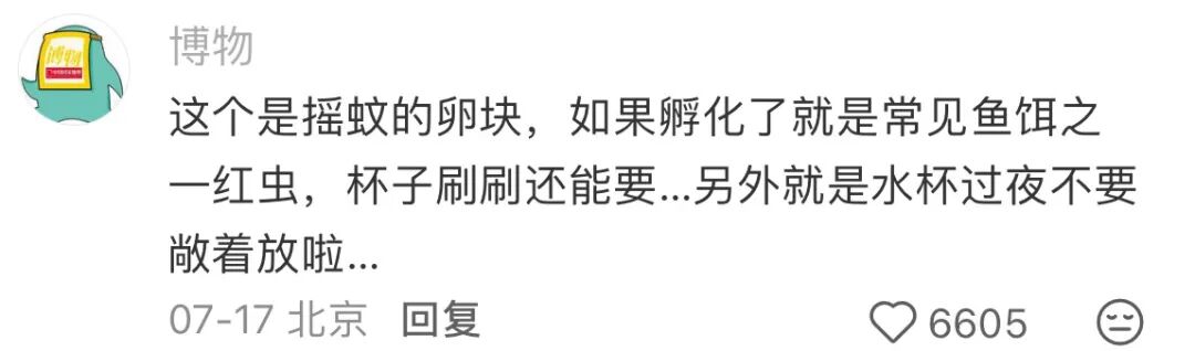 烧水壶里发现透明胶状物带黑点,是虫卵吗?摇蚊卵块科普(图2) 烧水壶里发现透明胶状物带黑点,是虫卵吗?摇蚊卵块科普(图2)