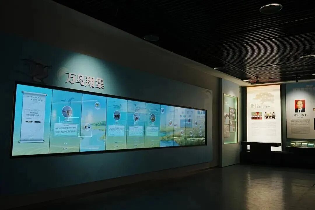 福州闽江河口湿地博物馆焕新启幕｜福建首个融合生态司法与两岸共护主题的湿地科普空间(图28)