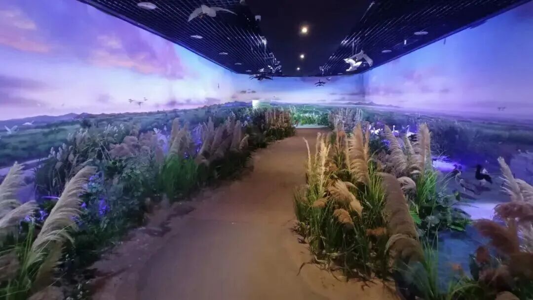 福州闽江河口湿地博物馆焕新启幕|福建首个融合生态司法与两岸共护主题的湿地科普空间(图3) 福州闽江河口湿地博物馆焕新启幕|福建首个融合生态司法与两岸共护主题的湿地科普空间(图3)