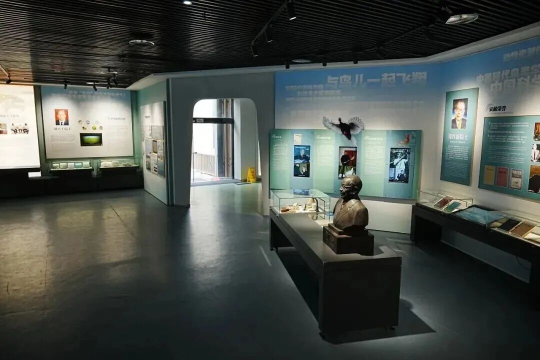 福州闽江河口湿地博物馆焕新启幕|福建首个融合生态司法与两岸共护主题的湿地科普空间(图6) 福州闽江河口湿地博物馆焕新启幕|福建首个融合生态司法与两岸共护主题的湿地科普空间(图6)