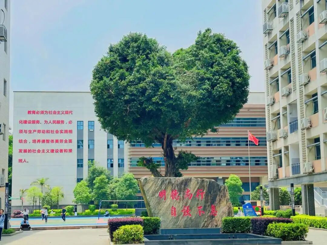 福州十八中五里亭校区正式启用:2100个高中学位落地晋安(图3) 福州十八中五里亭校区正式启用:2100个高中学位落地晋安(图3)