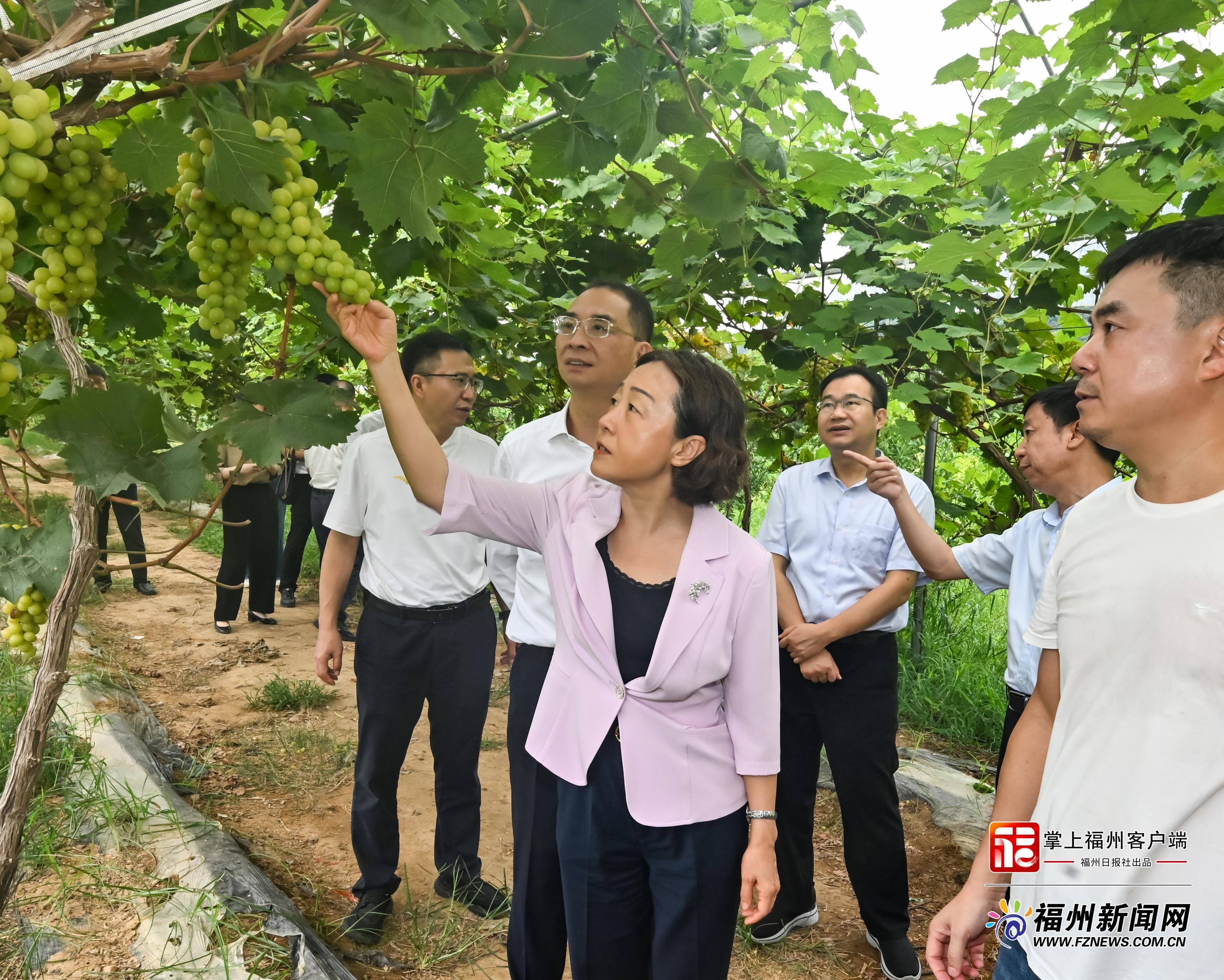 福州突击检查食品安全，守护市民舌尖安全(图2)