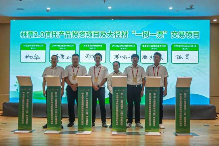 国有林场一树一票林票2.0交易 杉木大径材精准量化变现(图1)