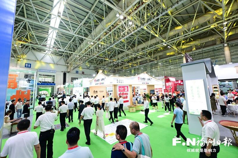 福州茉莉花茶文化节开幕！3万平米展区茶香四溢，找货源、看趋势正当时(图4)