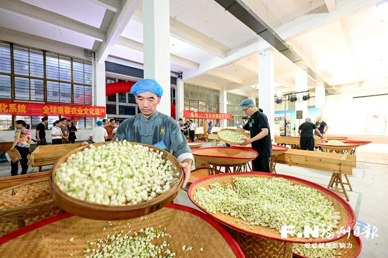 福州茉莉花茶文化节开幕！3万平米展区茶香四溢，找货源、看趋势正当时(图5)