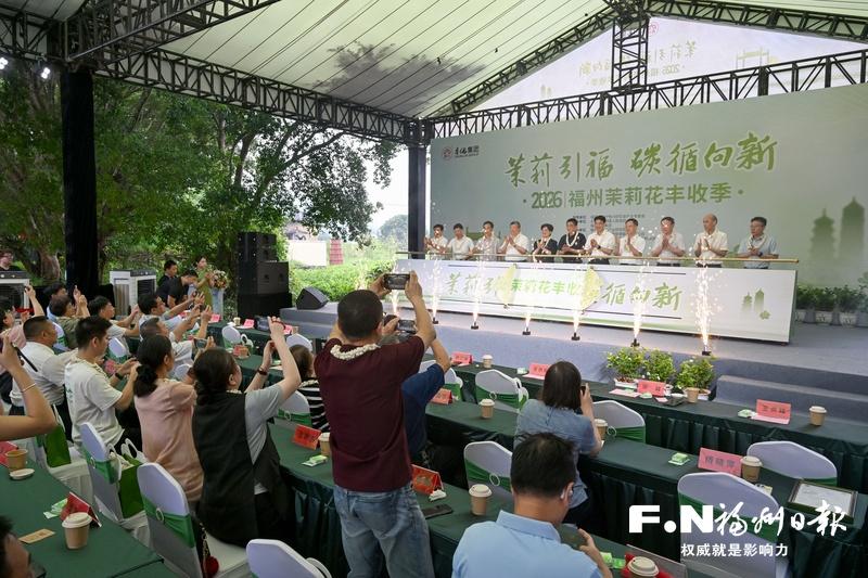 福州茉莉花茶文化节开幕！3万平米展区茶香四溢，找货源、看趋势正当时(图9)