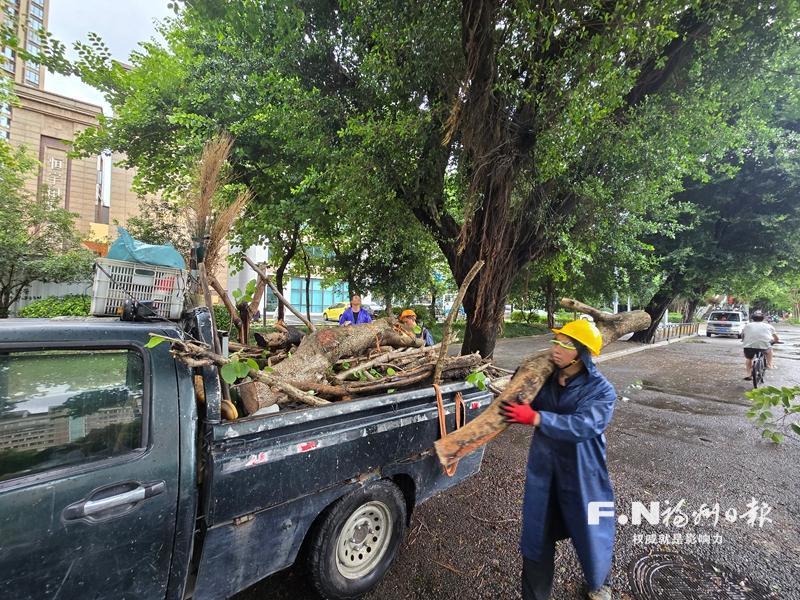 福州暴雨抢险：167人出动清理倒树溜方，交通部门全力保畅通(图3)