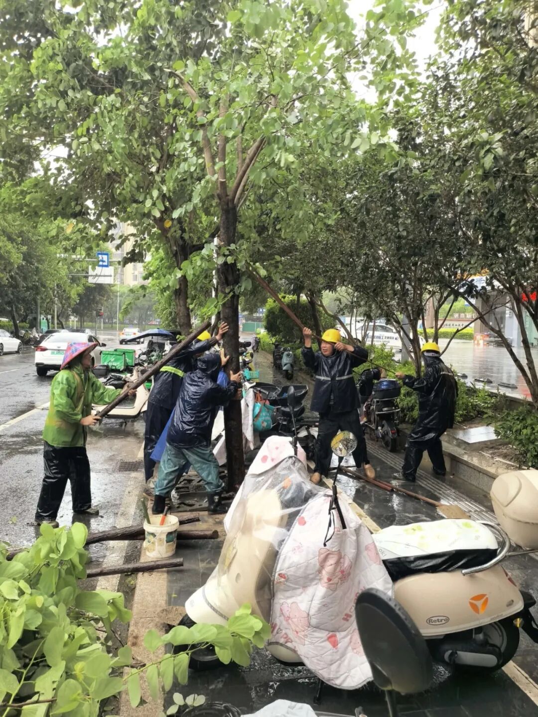 福州晋安防汛防台风:抢险排涝、疏通道路,全力保障安全(图1) 福州晋安防汛防台风:抢险排涝、疏通道路,全力保障安全(图1)