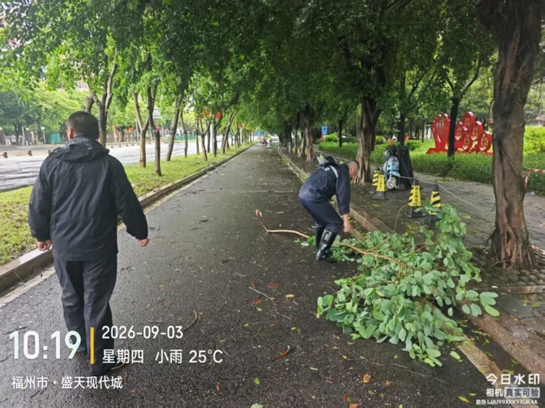 福州晋安防汛防台风:抢险排涝、疏通道路,全力保障安全(图2) 福州晋安防汛防台风:抢险排涝、疏通道路,全力保障安全(图2)