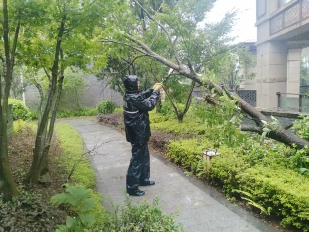福州晋安防汛防台风:抢险排涝、疏通道路,全力保障安全(图26) 福州晋安防汛防台风:抢险排涝、疏通道路,全力保障安全(图26)