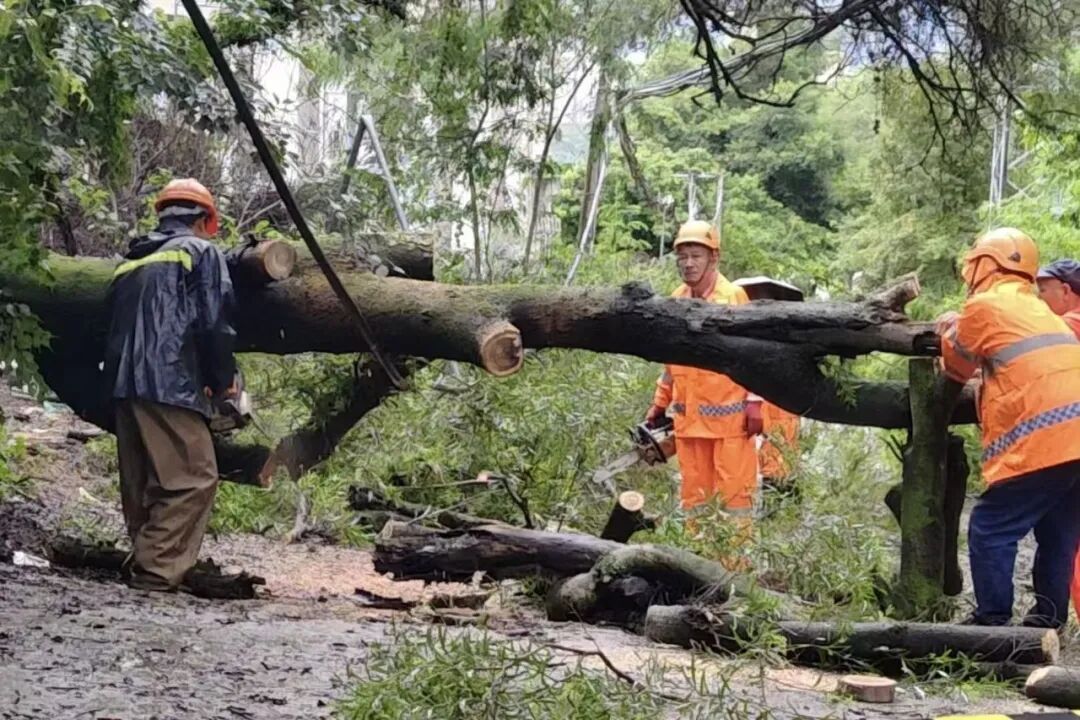 福州晋安防汛防台风:抢险排涝、疏通道路,全力保障安全(图27) 福州晋安防汛防台风:抢险排涝、疏通道路,全力保障安全(图27)