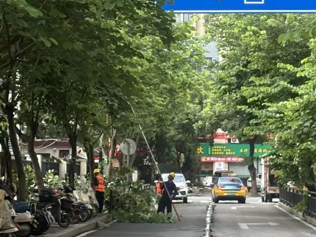 福州晋安防汛防台风:抢险排涝、疏通道路,全力保障安全(图31) 福州晋安防汛防台风:抢险排涝、疏通道路,全力保障安全(图31)