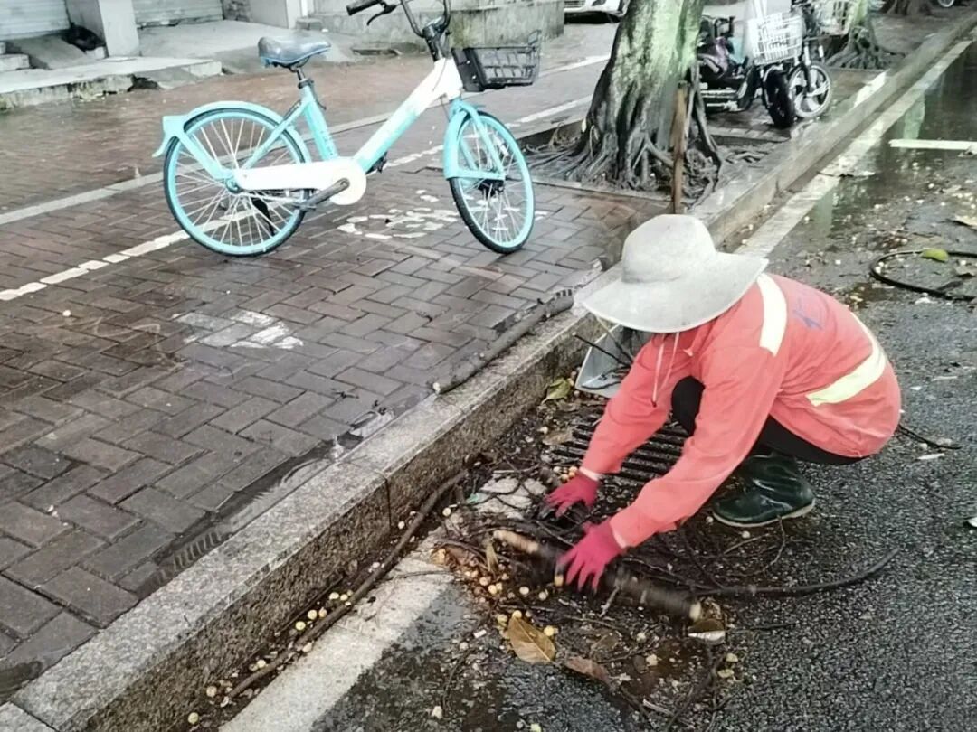 福州晋安防汛防台风:抢险排涝、疏通道路,全力保障安全(图32) 福州晋安防汛防台风:抢险排涝、疏通道路,全力保障安全(图32)