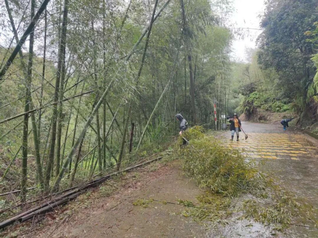 福州晋安防汛防台风:抢险排涝、疏通道路,全力保障安全(图33) 福州晋安防汛防台风:抢险排涝、疏通道路,全力保障安全(图33)