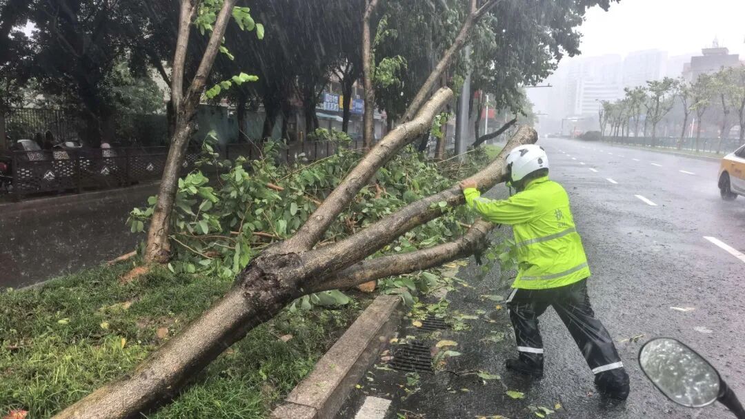 福州晋安防汛防台风:抢险排涝、疏通道路,全力保障安全(图6) 福州晋安防汛防台风:抢险排涝、疏通道路,全力保障安全(图6)
