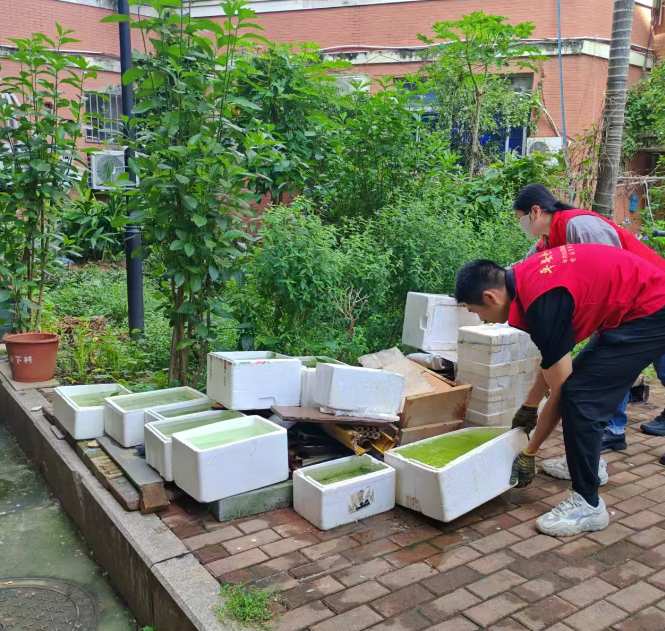 台风后福州大扫除:志愿者清理家园,恢复整洁环境(图5) 台风后福州大扫除:志愿者清理家园,恢复整洁环境(图5)