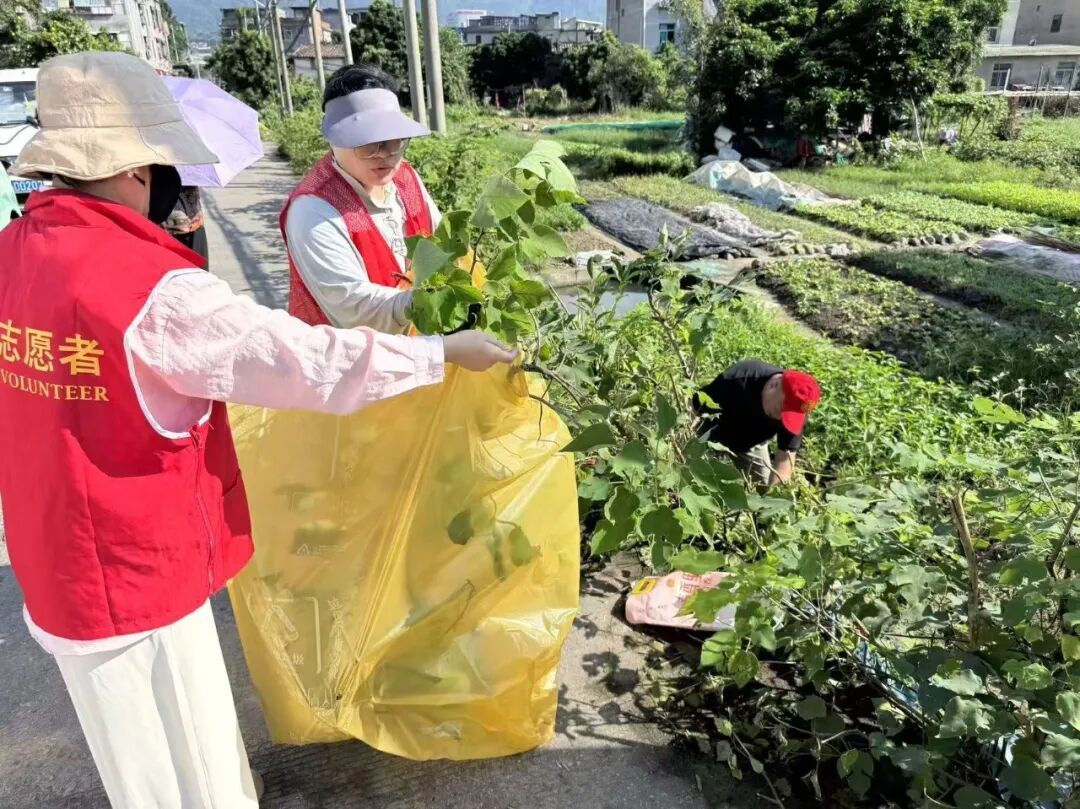 台风后福州大扫除:志愿者清理家园,恢复整洁环境(图7) 台风后福州大扫除:志愿者清理家园,恢复整洁环境(图7)