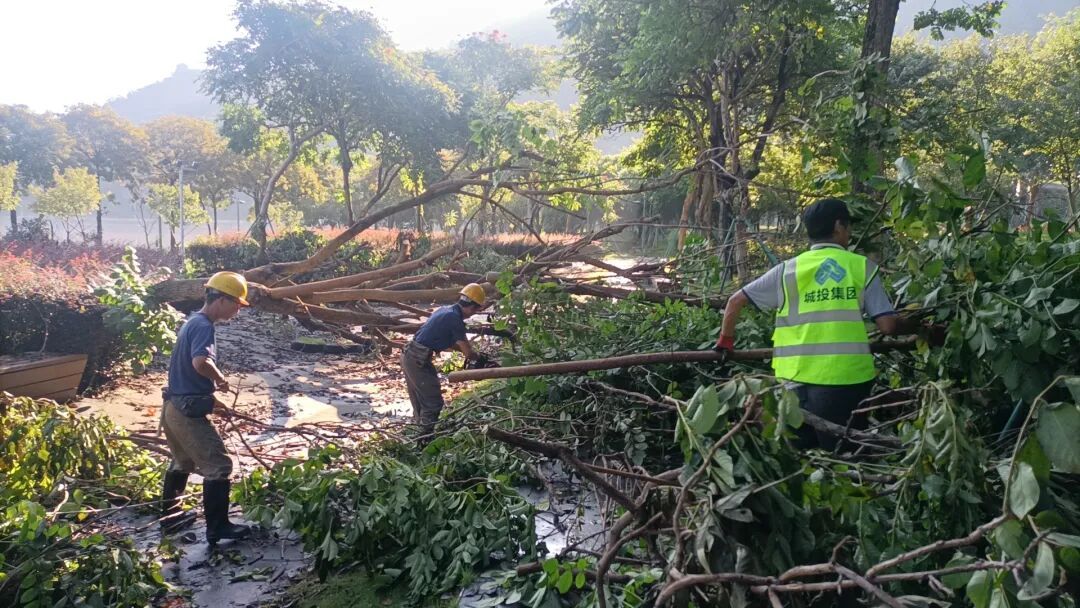 台风后福州大扫除:志愿者清理家园,恢复整洁环境(图8) 台风后福州大扫除:志愿者清理家园,恢复整洁环境(图8)
