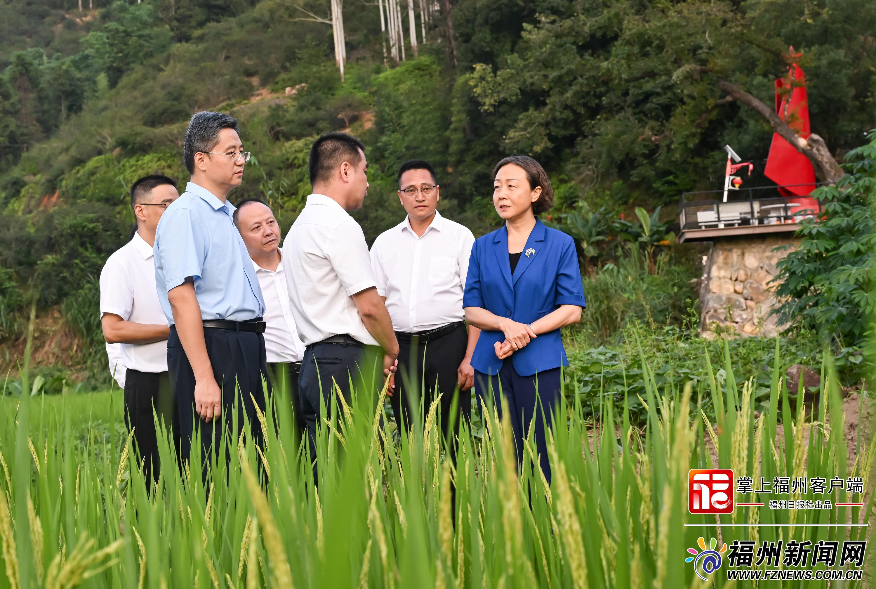 郭宁宁赴永泰督导基层不正之风整治 实地检查中学食堂食品安全(图3) 郭宁宁赴永泰督导基层不正之风整治 实地检查中学食堂食品安全(图3)