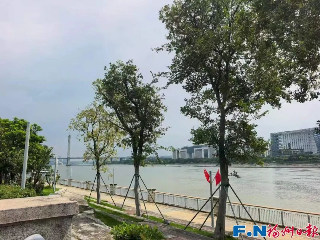 台风杜鹃变气旋,新台风舒力基国庆或登陆?假期天气速看(图6) 台风杜鹃变气旋,新台风舒力基国庆或登陆?假期天气速看(图6)