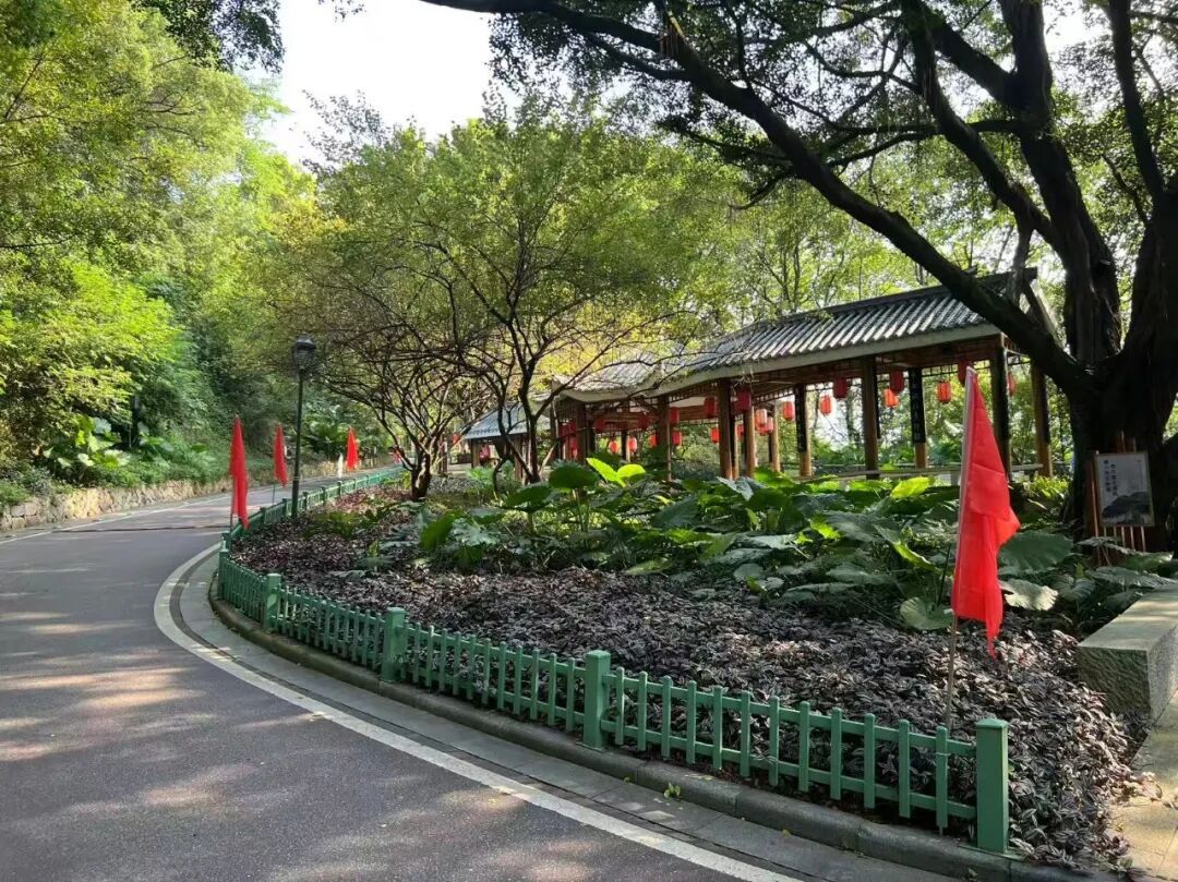 晋安国庆中国红哪里看?商圈街道公园全换上盛装(图17) 晋安国庆中国红哪里看?商圈街道公园全换上盛装(图17)