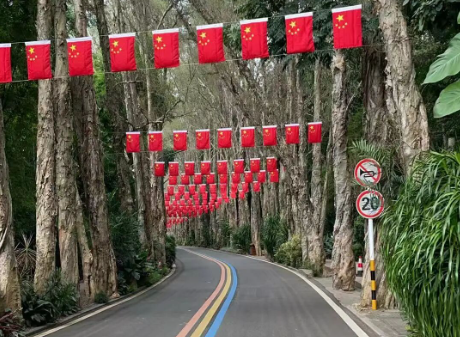 晋安国庆中国红哪里看?商圈街道公园全换上盛装(图24) 晋安国庆中国红哪里看?商圈街道公园全换上盛装(图24)