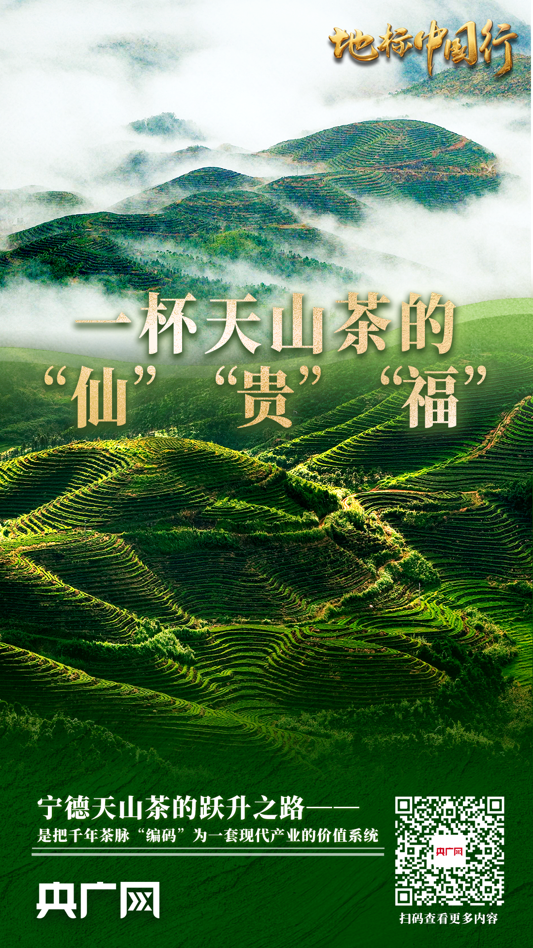 强农政策怎么落地?看高山茶地标转型,助土特产变国民潮品(图5) 强农政策怎么落地?看高山茶地标转型,助土特产变国民潮品(图5)
