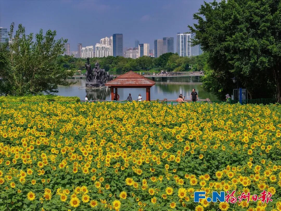 中秋福州去哪玩？西湖鼓岭赏花赏月，打卡非遗人气景点(图20)