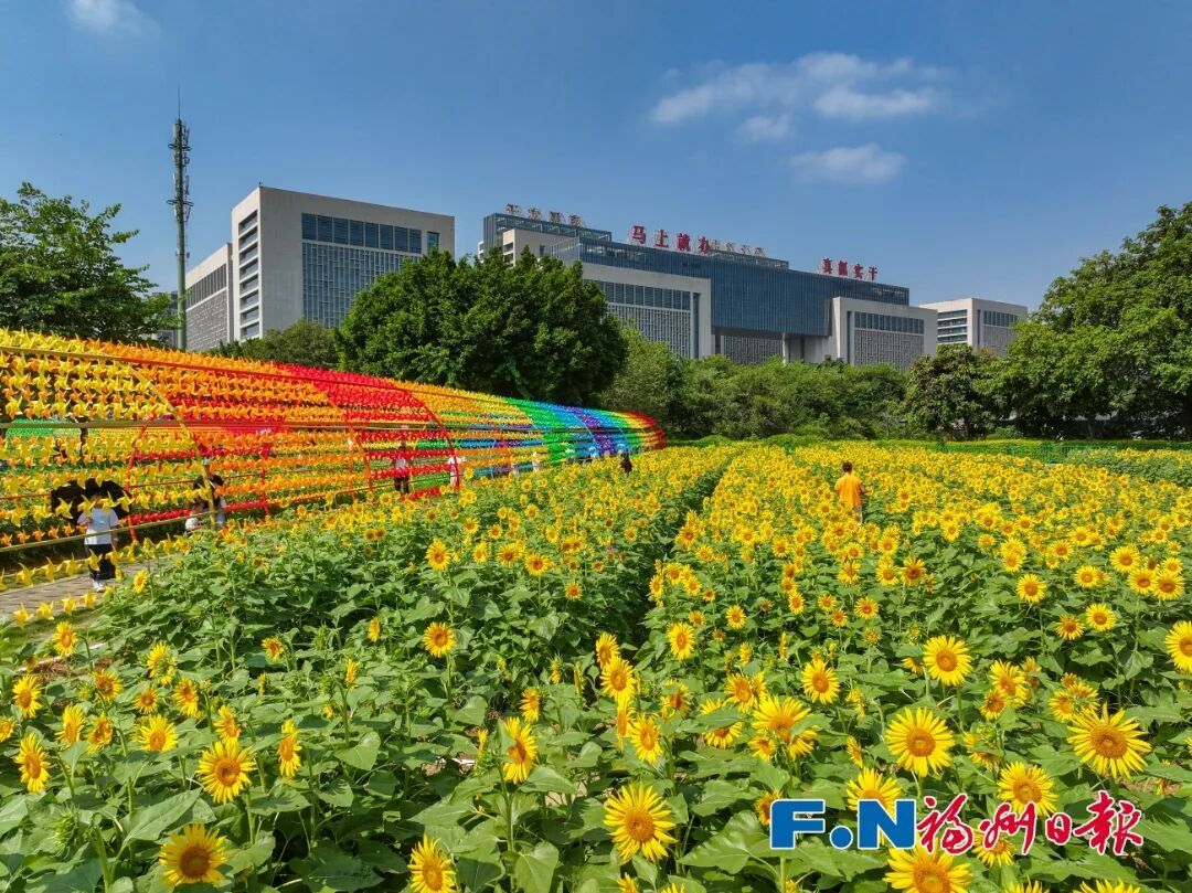 中秋福州去哪玩？西湖鼓岭赏花赏月，打卡非遗人气景点(图21)