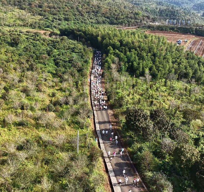 2026福建明溪盖洋健康跑落幕，全民健身与非遗民俗精彩融合(图2)