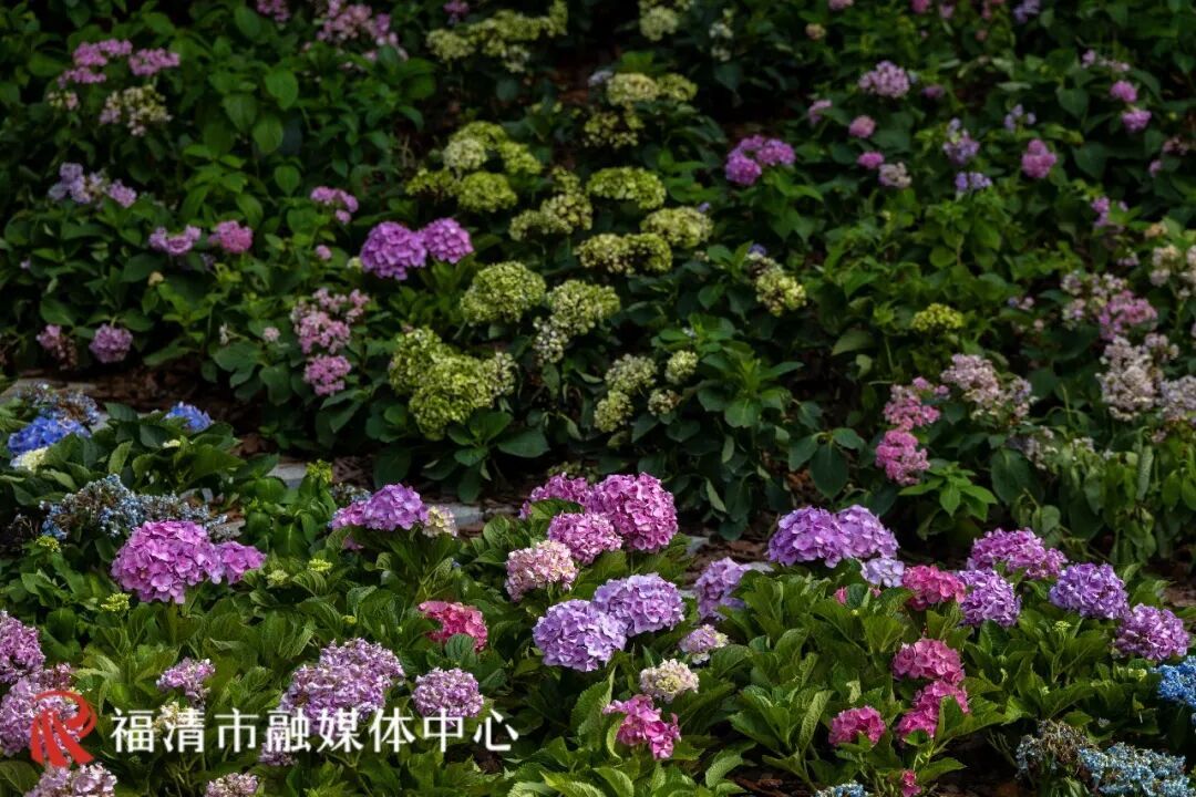 福清城市后花园，花间堂休闲驿站打卡指南(图11)