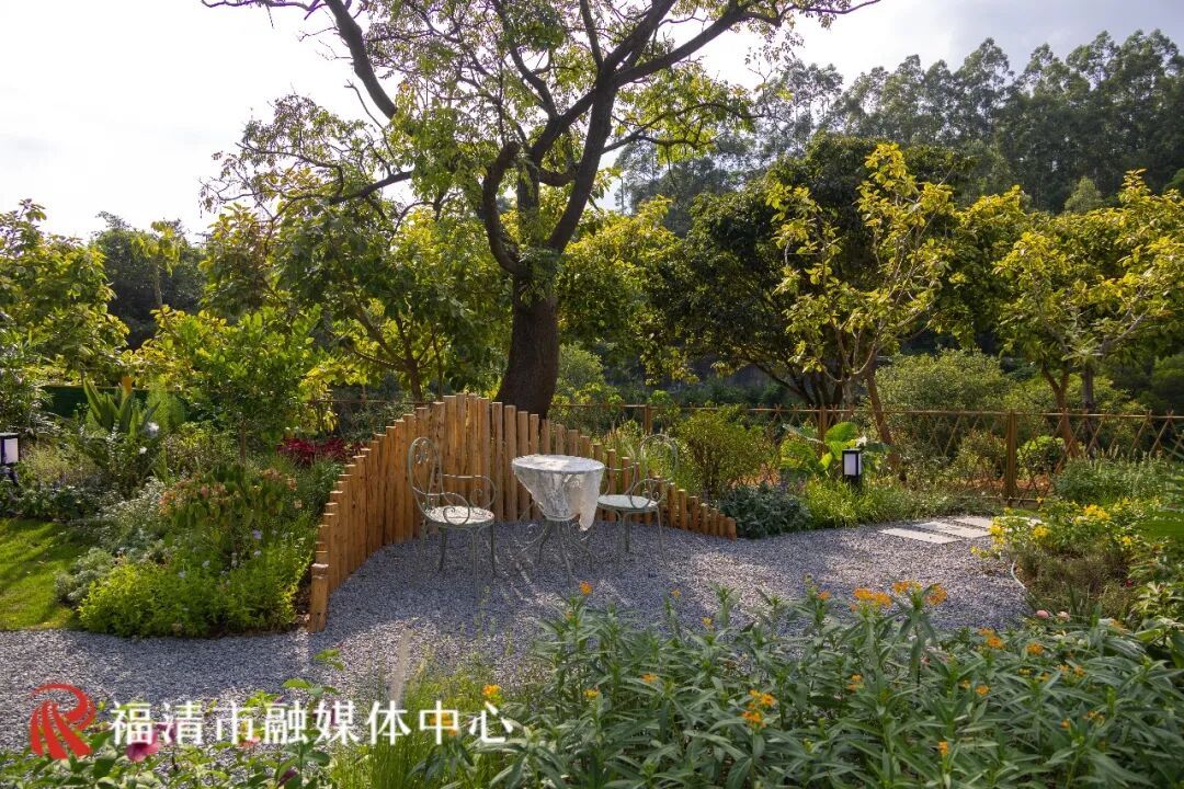 福清城市后花园，花间堂休闲驿站打卡指南(图13)