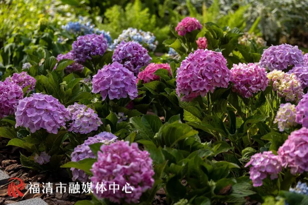 福清城市后花园，花间堂休闲驿站打卡指南(图7)