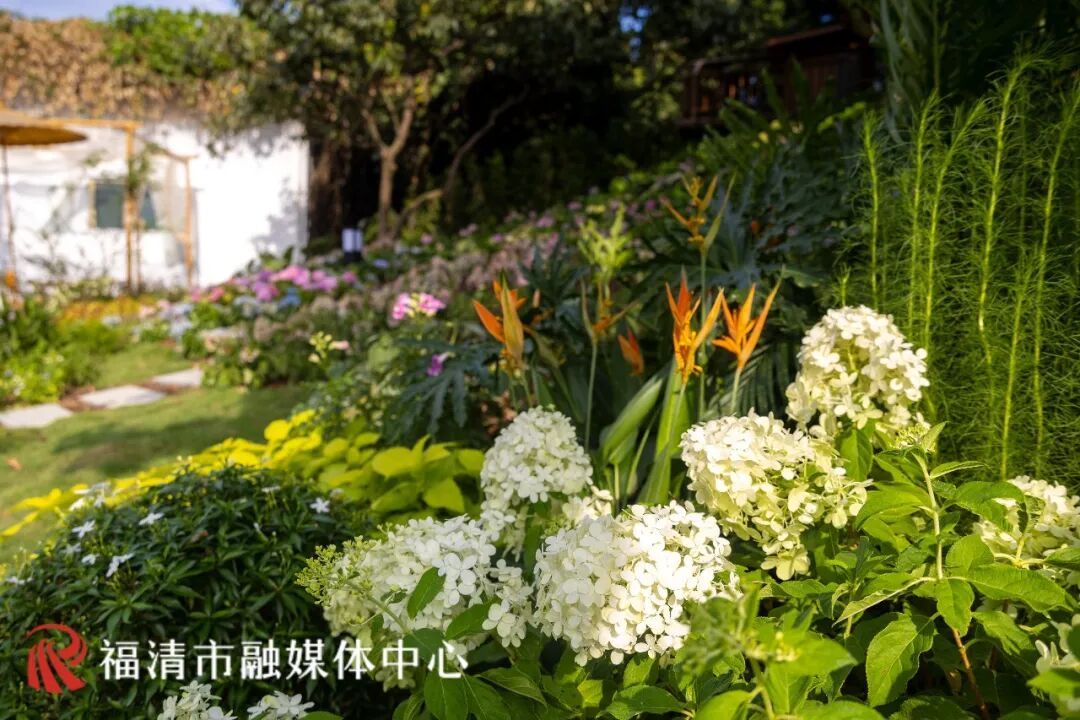 福清城市后花园，花间堂休闲驿站打卡指南(图9)